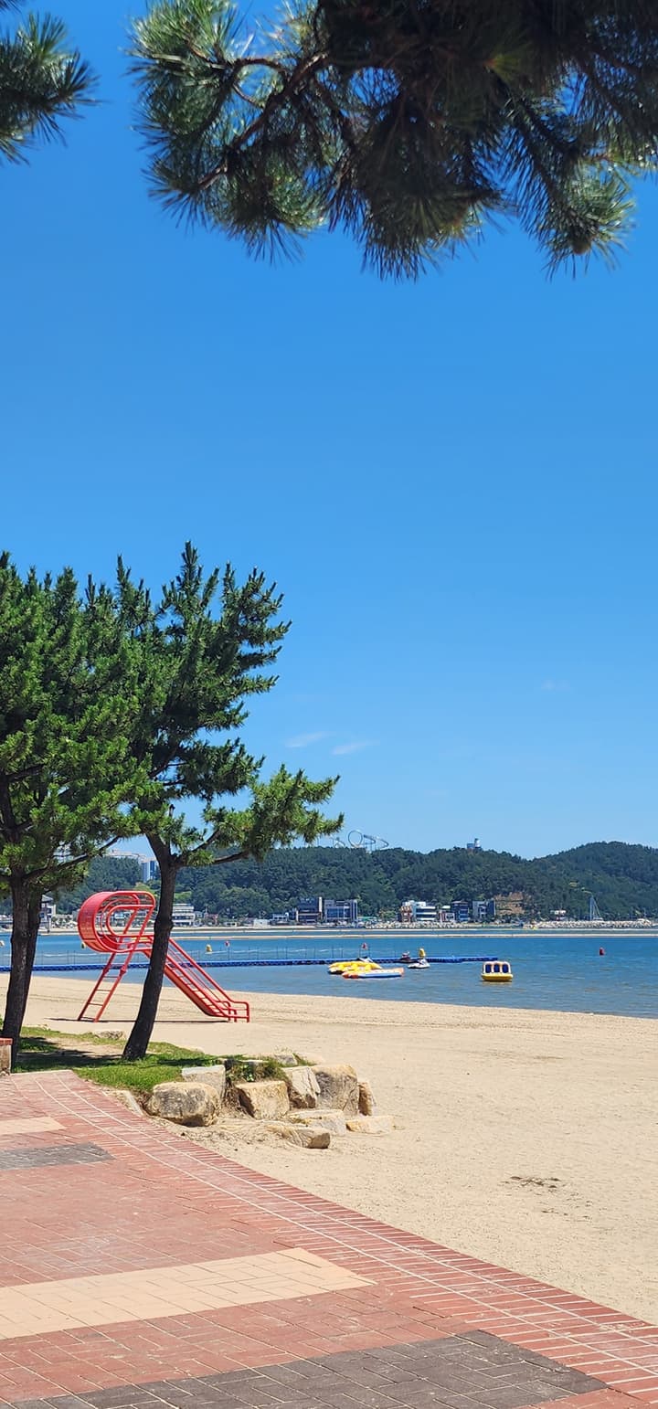 야간 조명 해변
