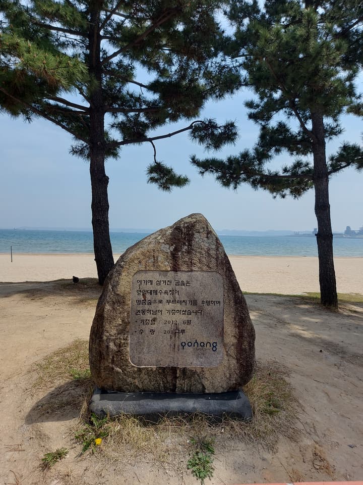 환호공원 능선 전망